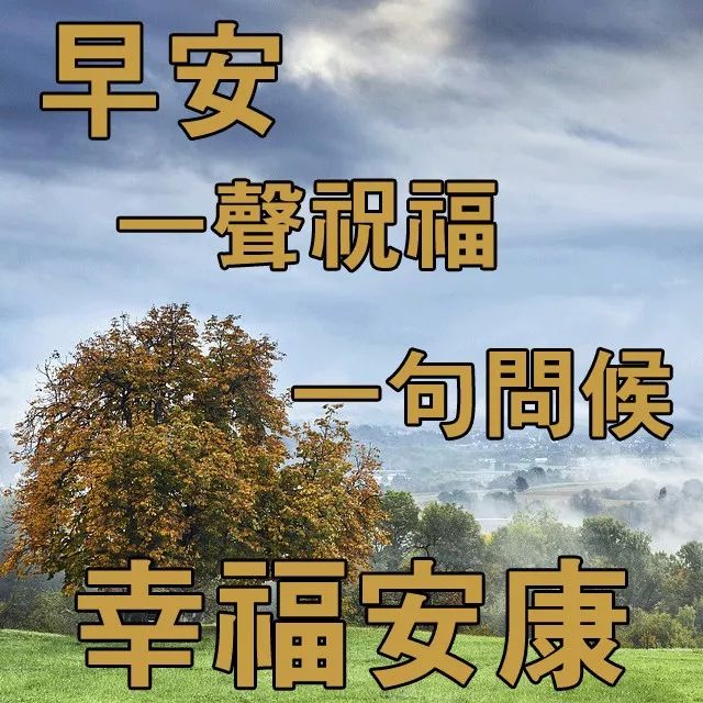 什么游什么荡成语_荡可以组什么词(3)