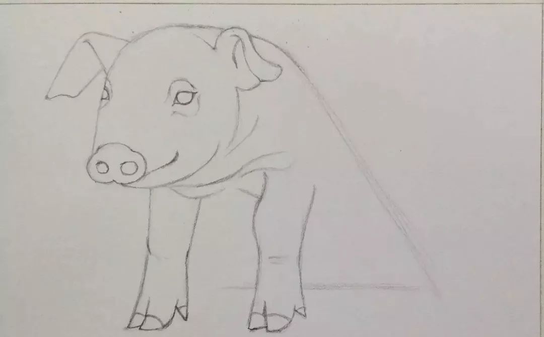 猪年我们学一下小猪简笔画吧