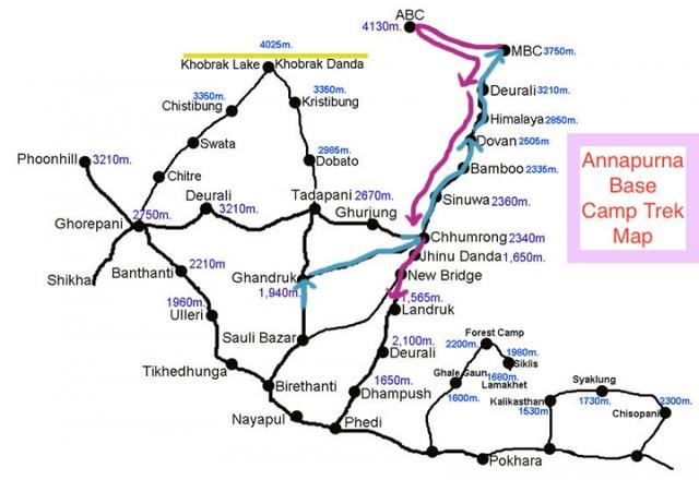 泥柏尔有多少人口_明日方舟史尔特尔图片(2)