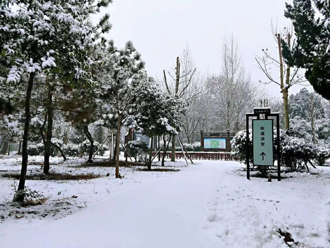 【美景美图】嘉祥2019年第一场雪