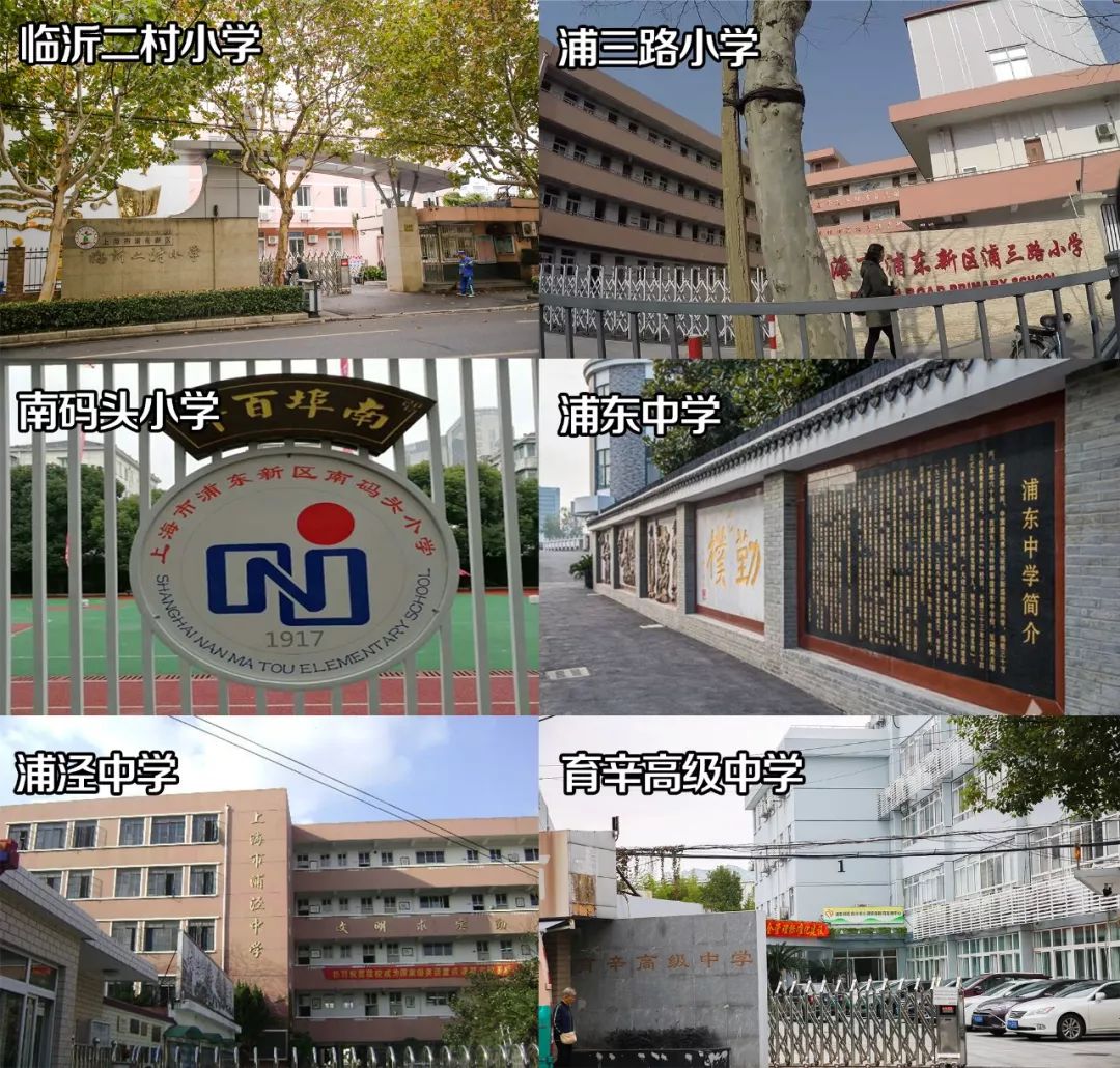 南码头小学,二村小学,浦三路小学,白玉兰小学 育辛高级中学,浦泾