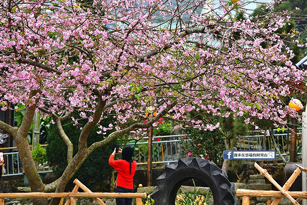 台湾有哪些旅游胜地（台湾有哪些旅游胜地_）