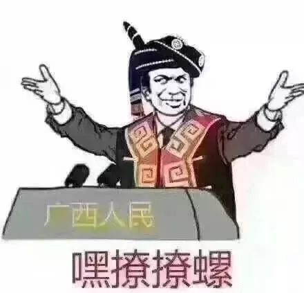 广西人口壮_广西国际壮医医院图片