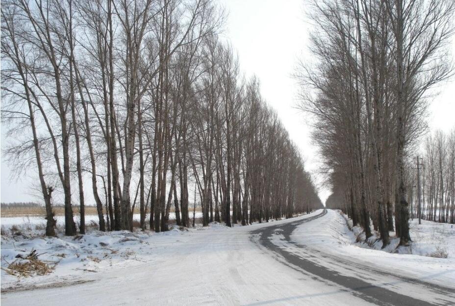 冬天最美的是雪景那么拍摄雪景的注意事项是什么呢