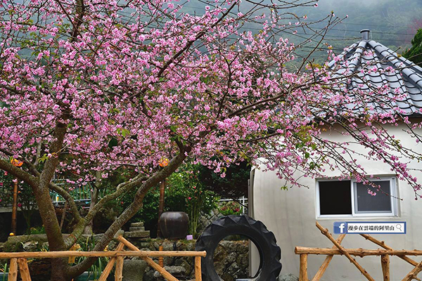 台湾有哪些旅游胜地（台湾有哪些旅游胜地_）