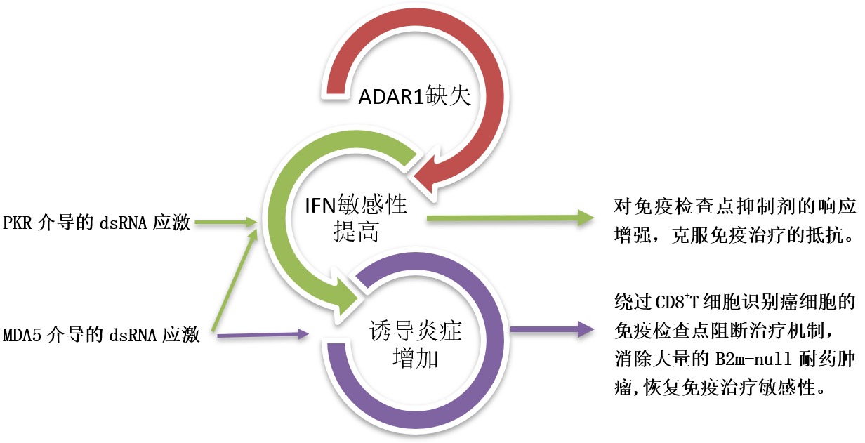 nature免疫治疗新策略 | 免疫检查点阻断治疗无效怎么