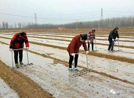 人口地包赔_牙齿天包地图片