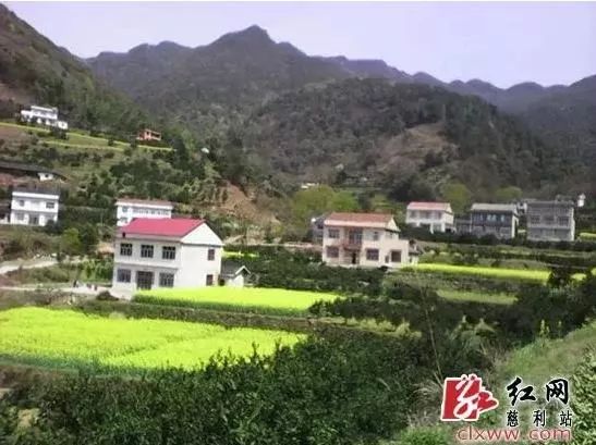 慈利县洞溪乡洞溪村70亩辣椒种植基地 阳和乡三溪村 三官寺乡株木岗