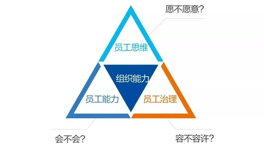 杨三角理论认为,必须有三大支柱支撑: 员工能力:员工是否具备组织能力