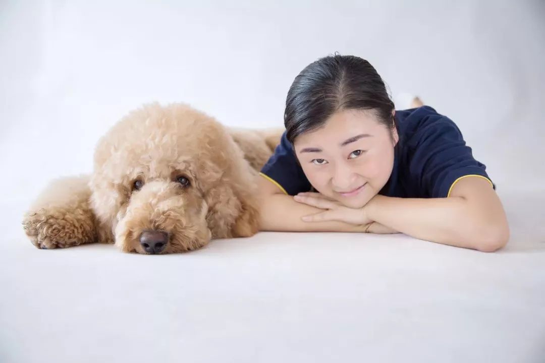 重庆首家宠物训犬师培训学校正式成立!_训练