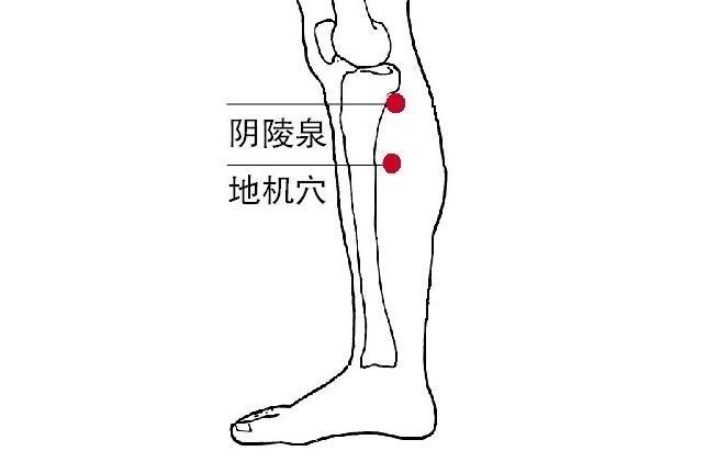 百病湿气起中医推荐食疗按摩祛湿健脾排毒减肥改善体质