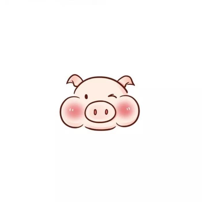 2019专用的猪猪头像 你喜欢吗?