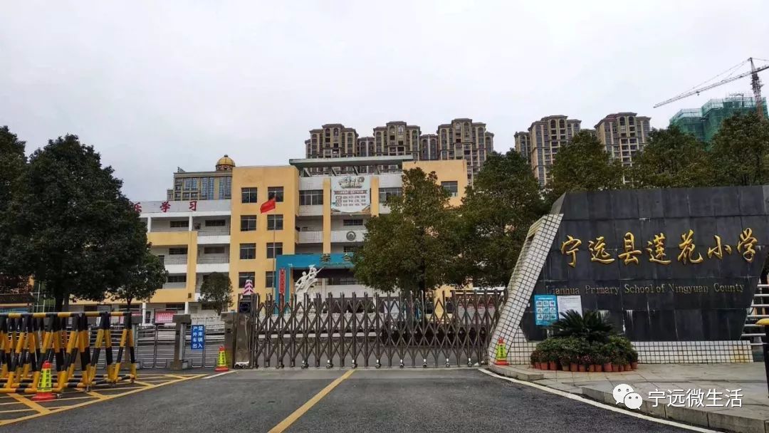 学位难求盘点宁远城区的新老小学你的娃读哪一所