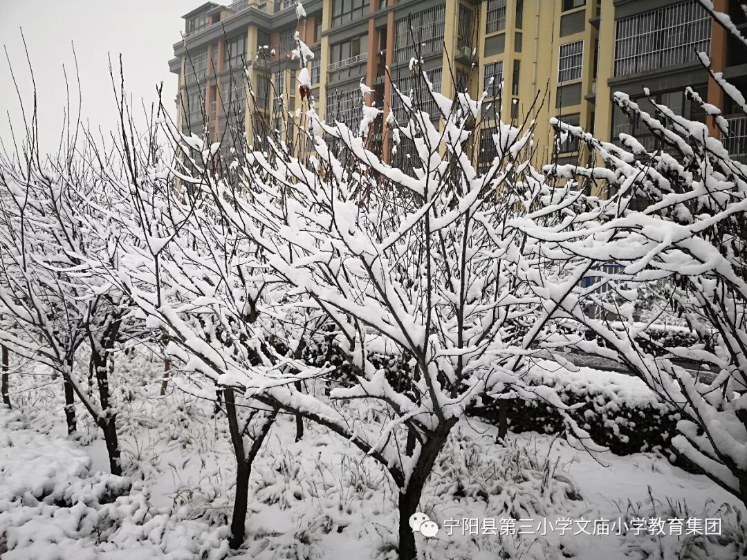 冻死什么成语_冻死脸是什么色(2)