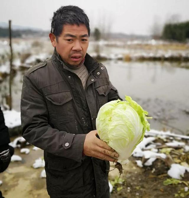 (抱着自家白菜的丁四)