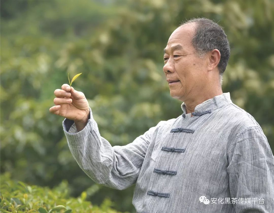 文 / 本刊综合 2018年4月,首批"中国制茶大师"(绿茶类)名单揭晓,湖南