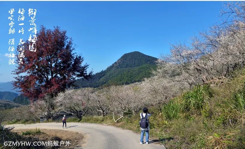 惠州惠东县梁化镇有多少人口_惠州惠东县划分地图(2)