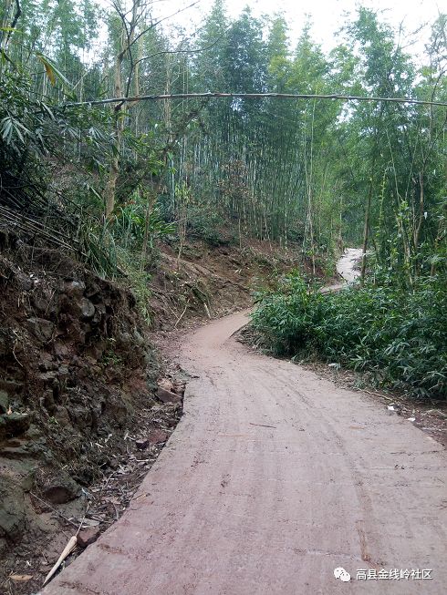 这是可久进步村的路,泥泞坑洼,道路梢一