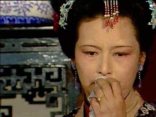 王夫人一个真正披着羊皮的狼