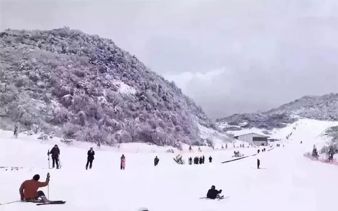 滑雪场地址:六盘水市水城县玉舍国家级森林公园野玉海景区咨询电话