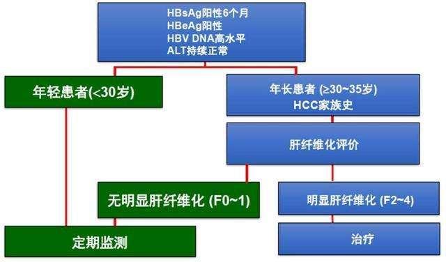 肝炎病因和乙肝提前進入活動期 健康 第4張