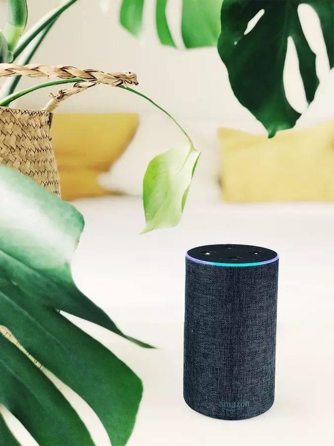 【AI前哨】2018 年亞馬遜美國區的 Alexa 技能數量增加了一倍多 科技 第3張