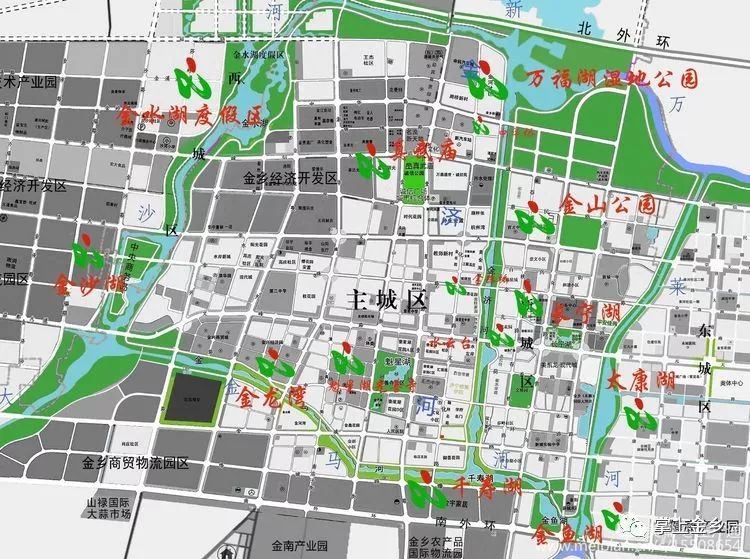 金乡县的人口_金乡县地图(2)