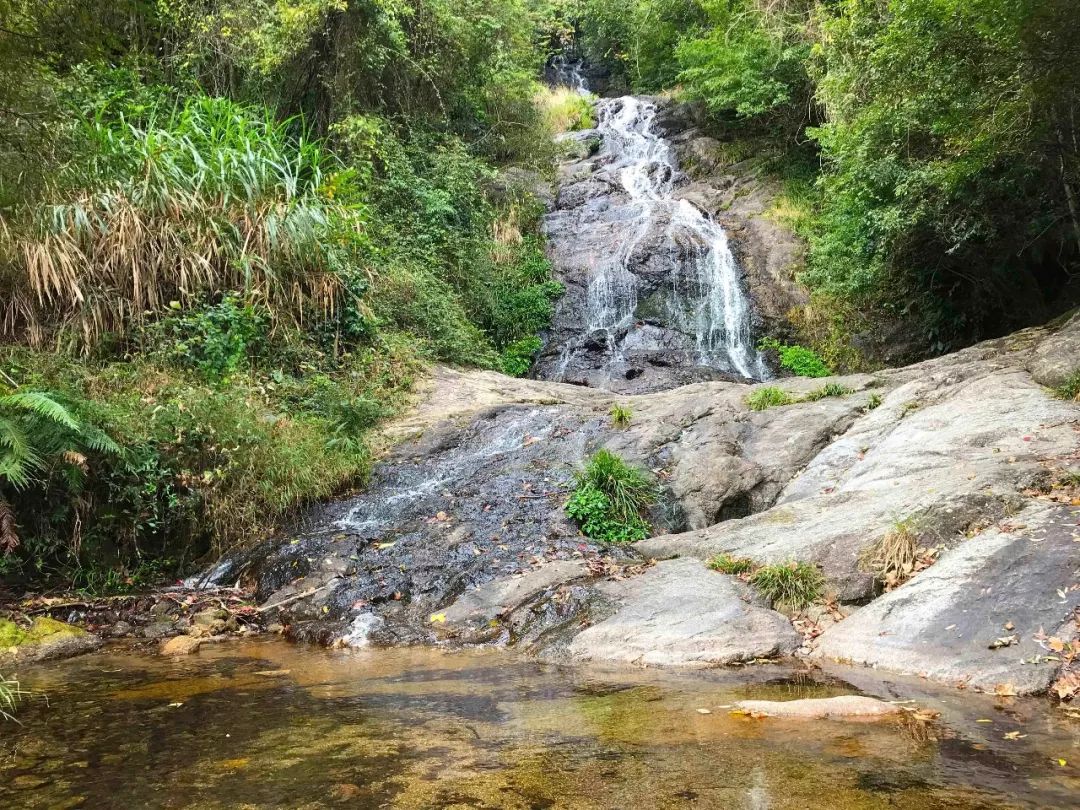 广东有座大山,山顶形似古代婆婆的发髻,被称为"广东香格里拉"