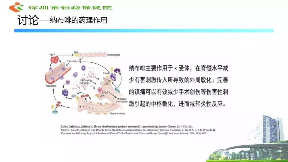 啡同凡享静静绽放2018年精选病例盐酸纳布啡在剖宫产术后镇痛的应用