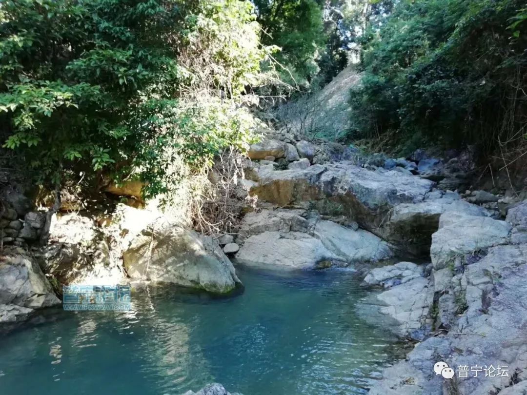 梅蕊初开卷西风, 花满银池水漫东; 潭深舟行现锦鱼, ▍来源:普宁论坛