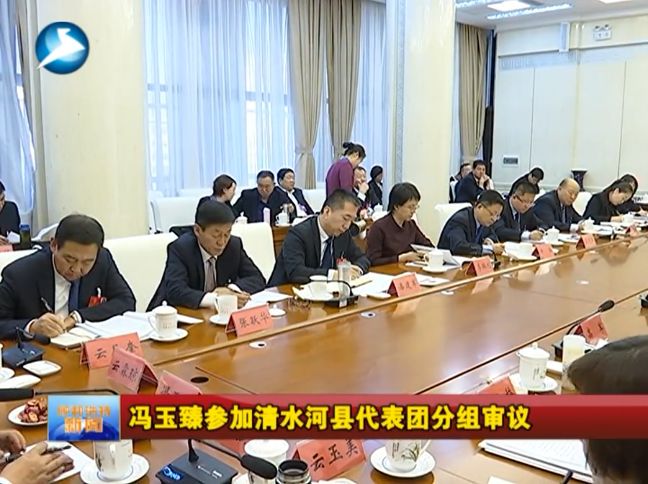 【聚焦两会】冯玉臻参加清水河县代表团分组审议