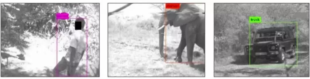 GGAI 頭條 | 「AI哨兵」將協助非洲護林員保護野生動物免遭偷獵 科技 第2張