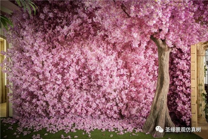 世界上十大最美"之一的波恩樱花"_仿真