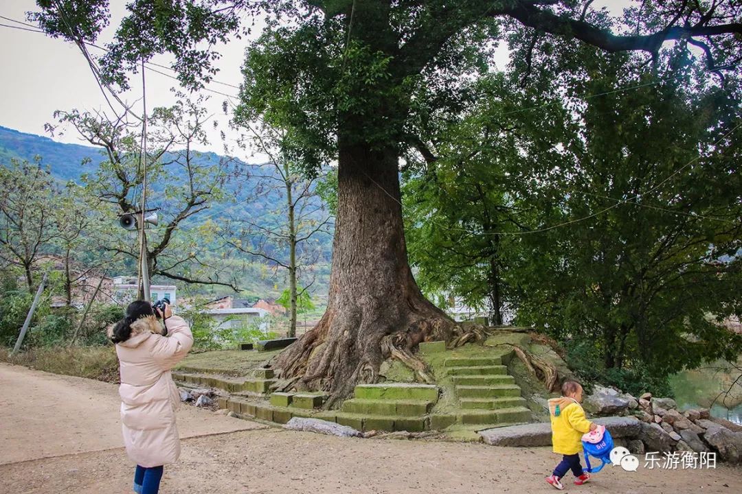 寻迹访古藏在耒阳罗渡村的清代建筑遗韵