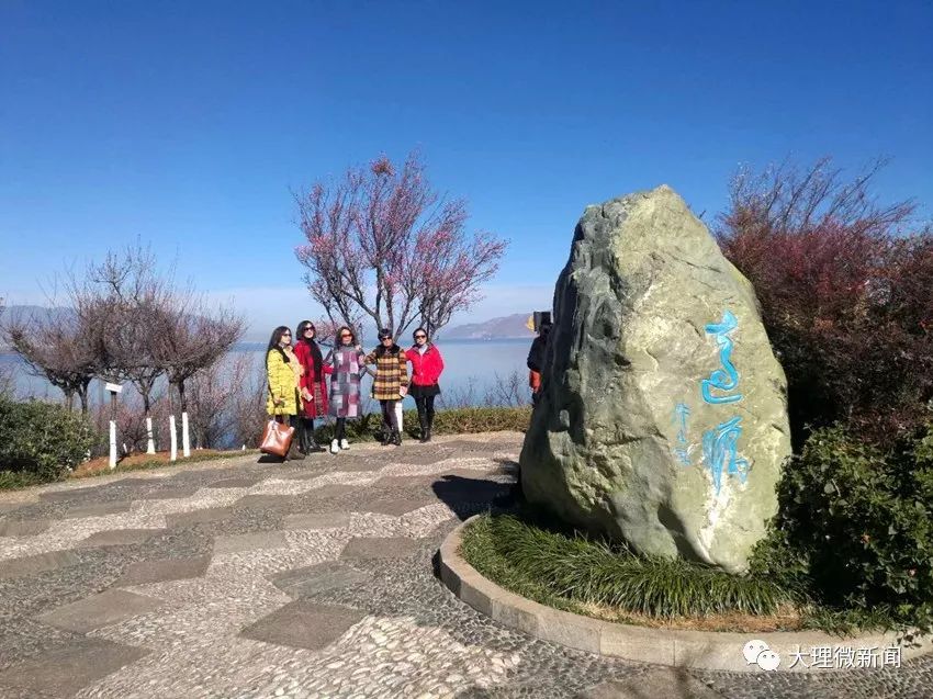 下关团山公园的梅花开了拍照赏花约起来图