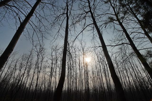 巢湖有多少人口_巢湖特殊教育学校图片