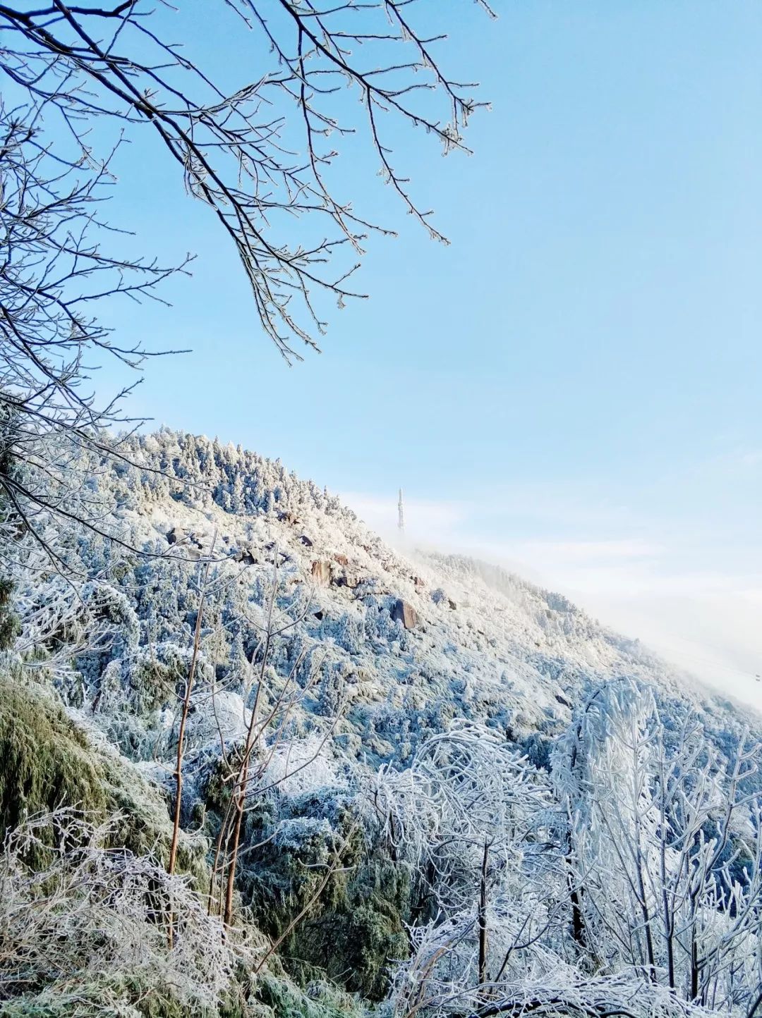 未来的冰雪可不能再错过了 衡山天气是这样的,白雪皑皑银装素裹的