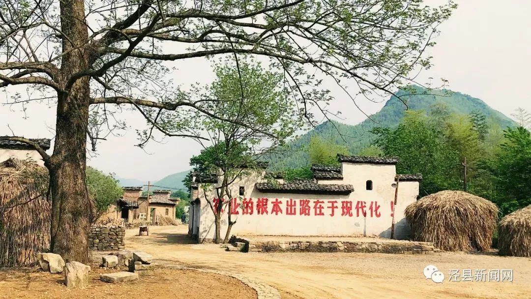 《大江大河》的热播, 让这部剧的取景拍摄地之一 泾县蔡村镇小康村