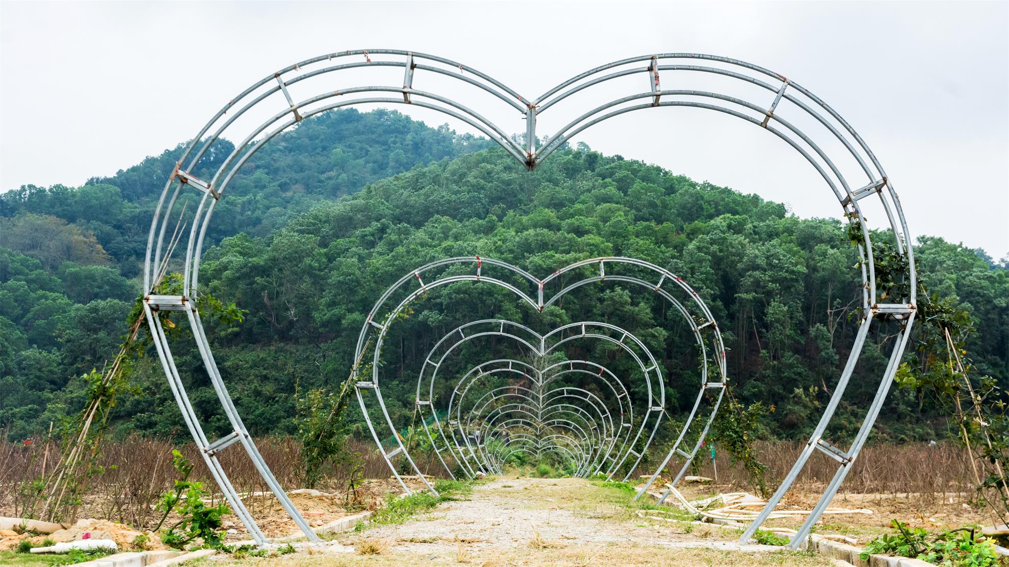 百花谷旁边的绿道 可以直通大顶岭森林公园 光明农场的滑草场 距这里