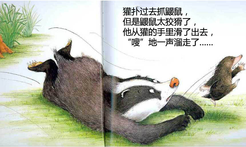 儿童绘本故事推荐《獾的美餐》