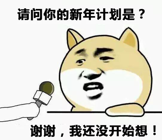 2019新年心愿,你的是______?