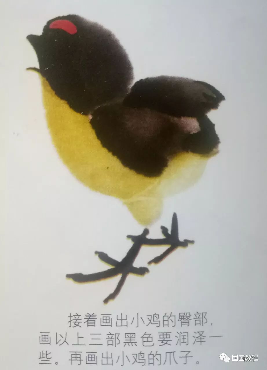 国画教程写意小鸡的画法