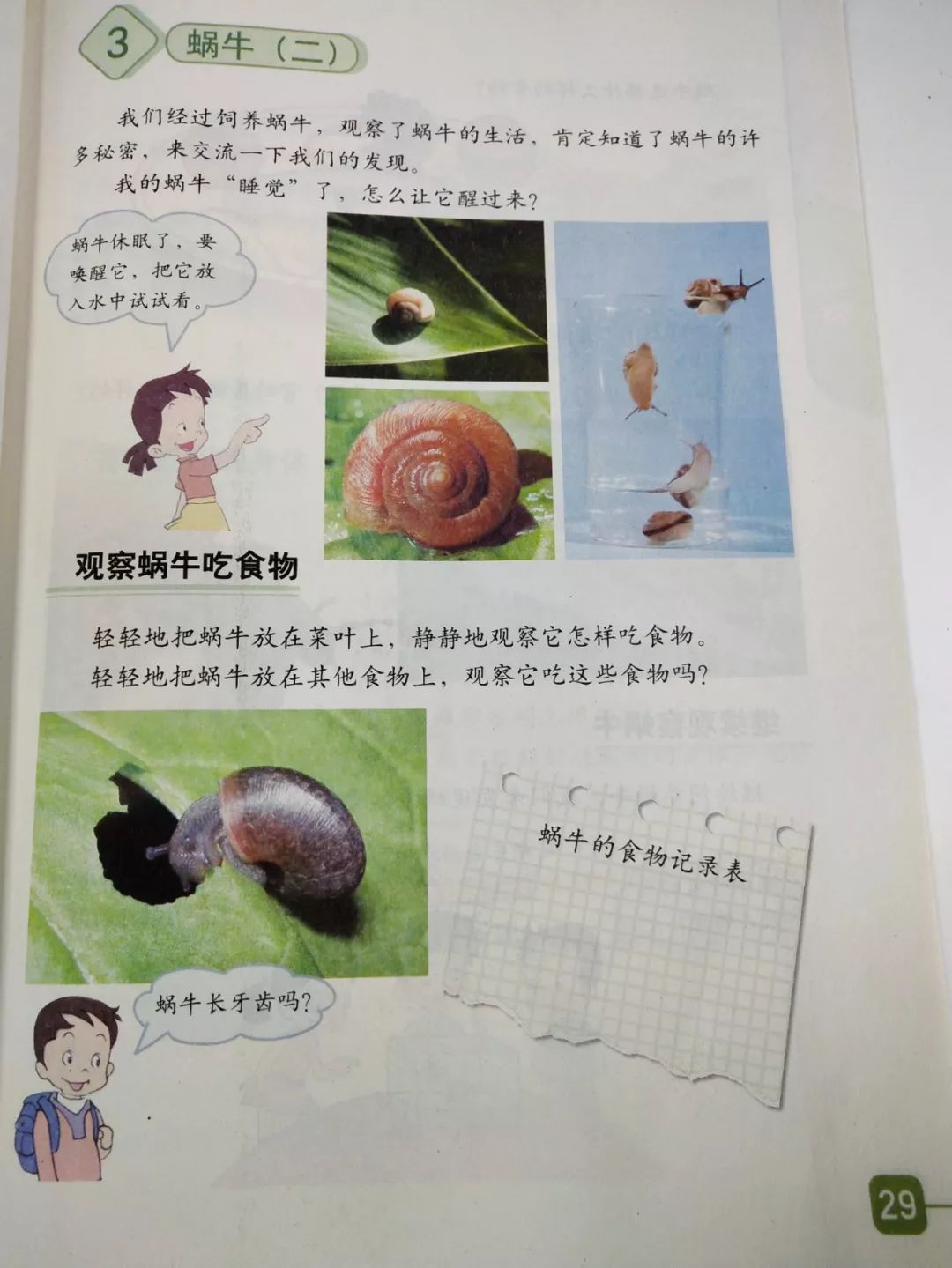 免费领丨小学科学三年级(上)电子教材