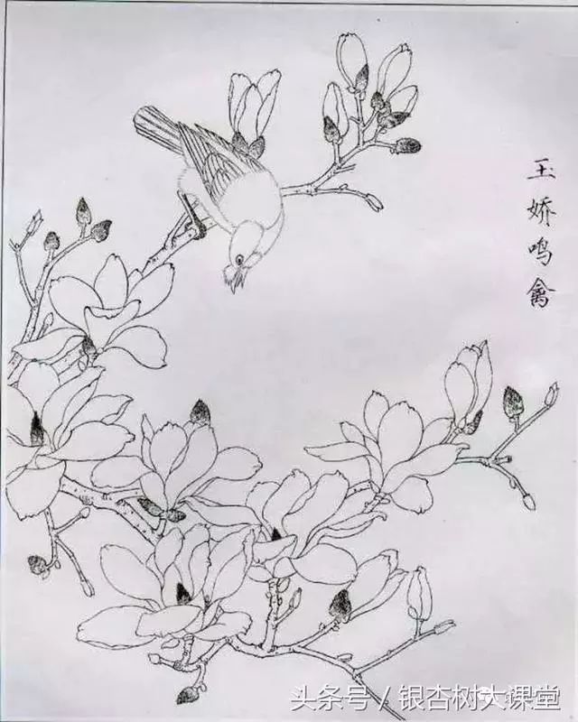 描写玉兰花