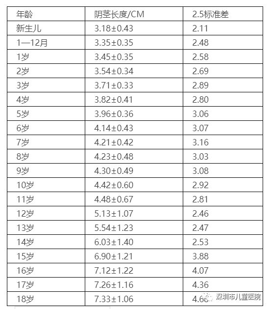 鸡吧太小怎么办