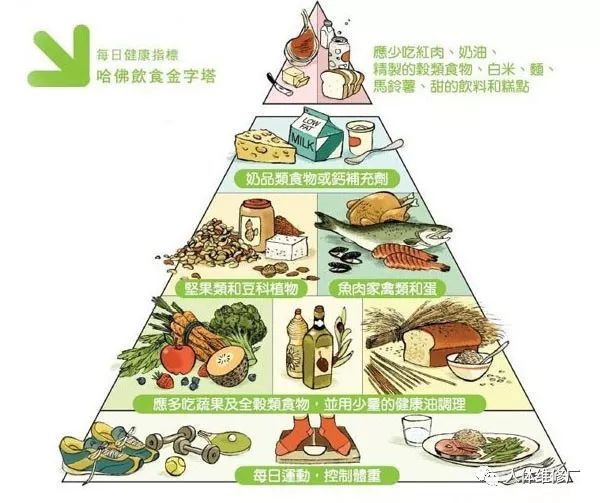 2008美国哈佛医学院的"食物金字塔"
