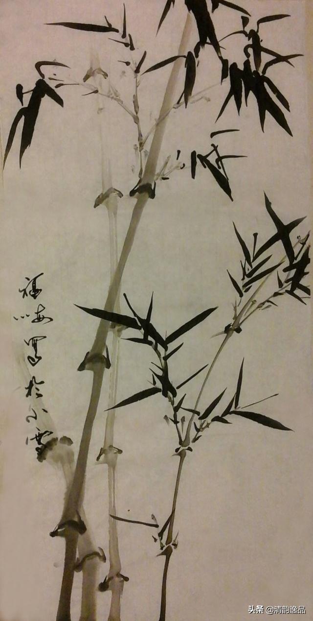 墨竹的写意画法,竹竿,出枝,人字叶,俯叶竹