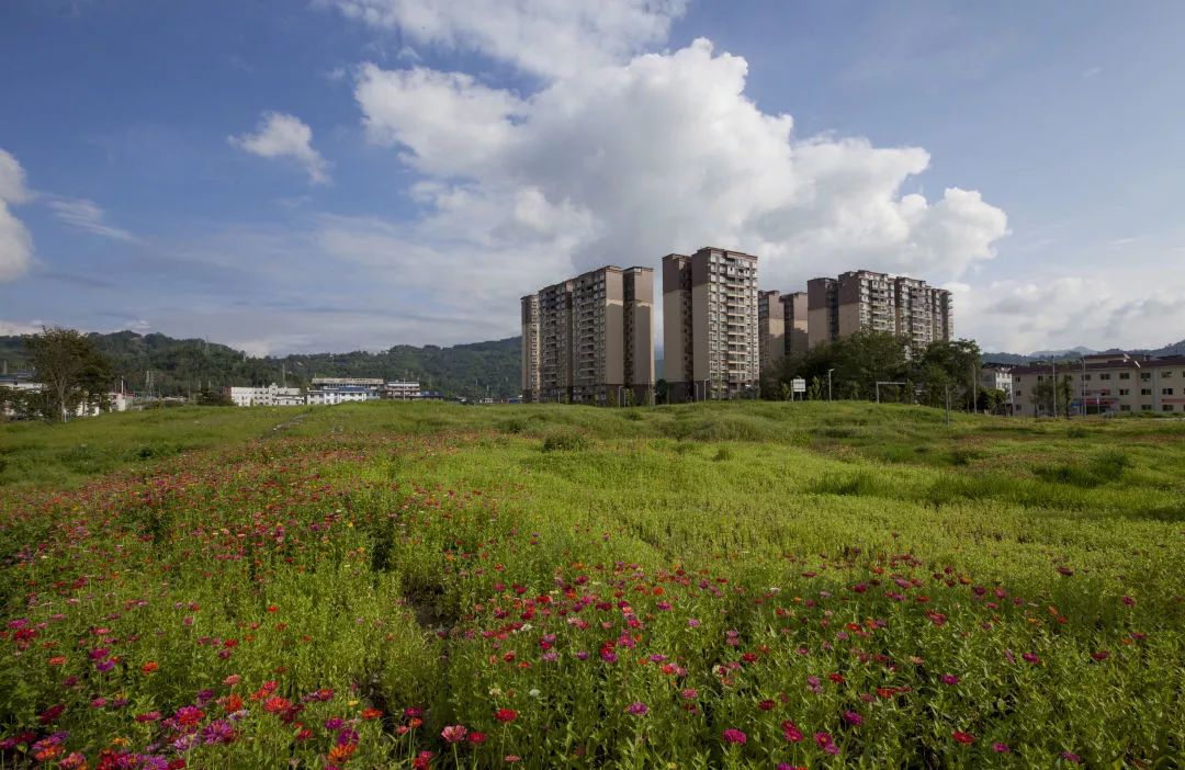 天全县经济总量_天全县新华乡全景照