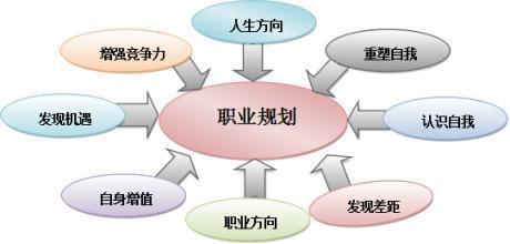 大学生如何进行职业规划