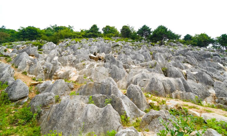 坎子山村,是湖北口回族乡海拔最高的村,坎子山村万亩石林景区海拔1500